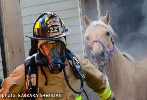 firemand leading horse out of smoking barn