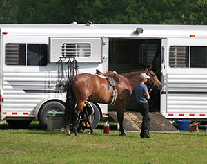 horse and handler standing beside horse trailer