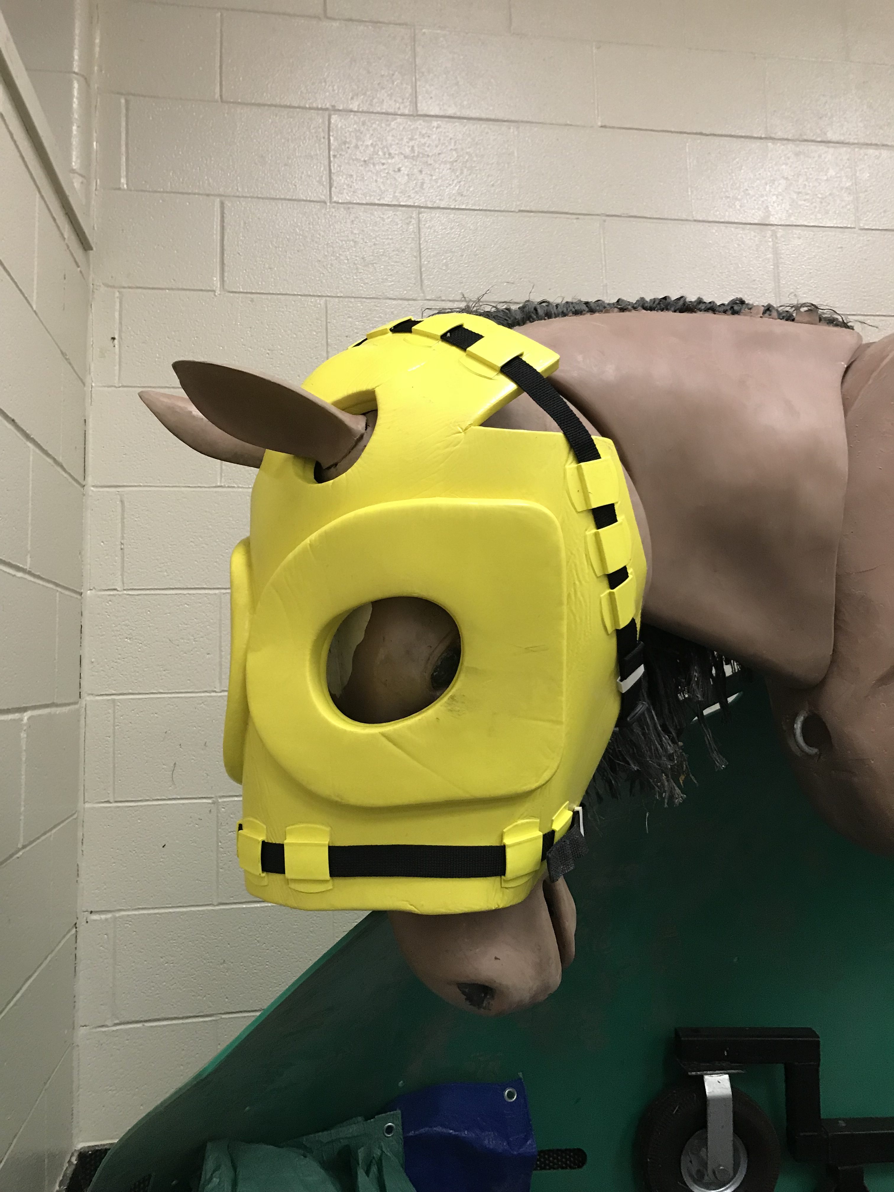 Equine Head Protector