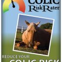 Colic Risk Rater