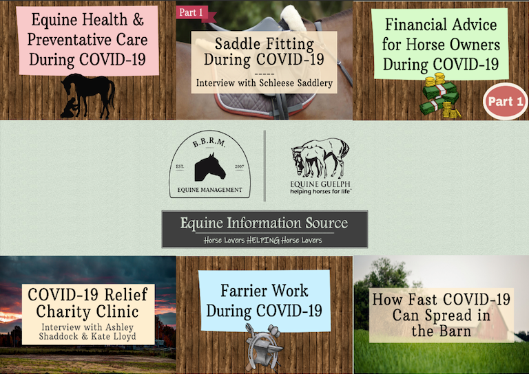 Equine Information Source video topics graphic