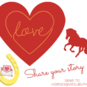 Valentine horse image