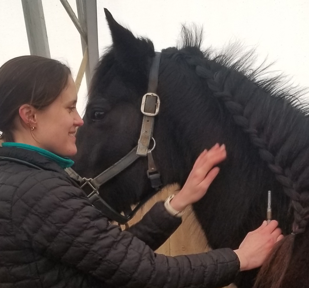 Vaccination Equi-Planner Tool – The Horse Portal