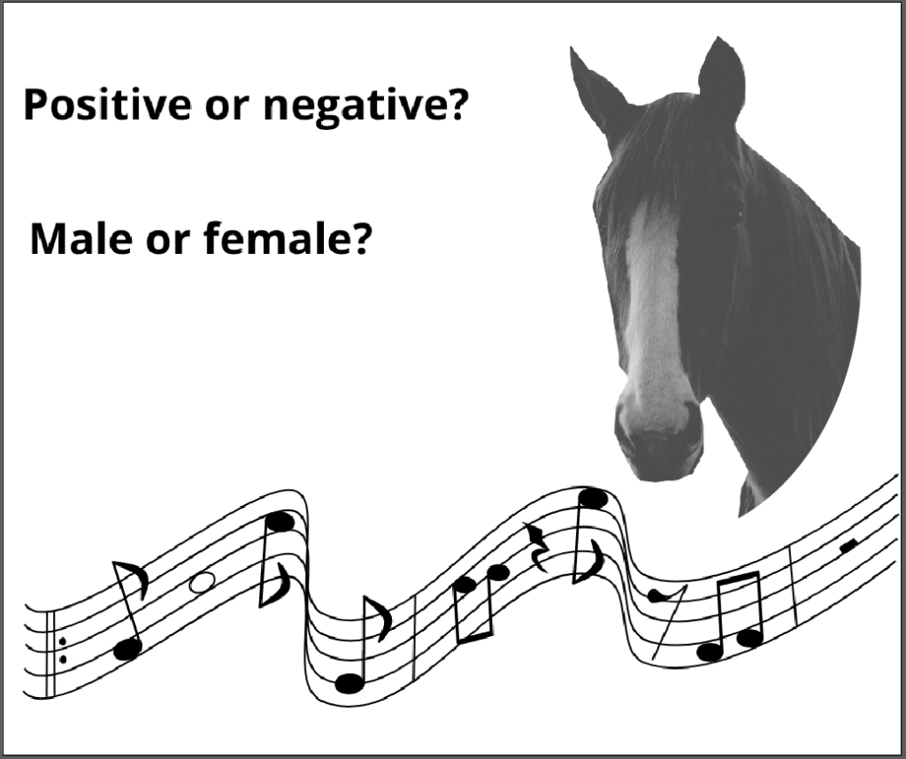 Horse Vocalization