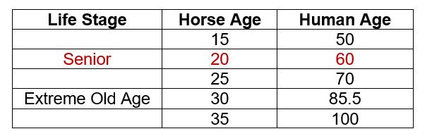 Table comparing the life stages of humans and horses.  Senior Horses are around 20 years old, which is comparable to a 60 year old human.  Extreme old aged horses are 30+ years old (85.5-100 years old for humans)