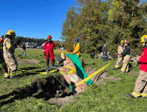 Rescue scenarios at Equine Guelph's Large Animal Emergency Rescue workshop in Coteau du lac, Quebec, Oct 1 & 2, 2022