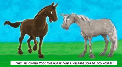 Horse Care & Welfare – Fall ’23