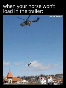 meme transporting horse by helicopter