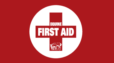 Equine First Aid – Spring ’24