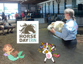 Equine Guelph director Gayle Ecker presents a talk at Horse Day in Erin, ON