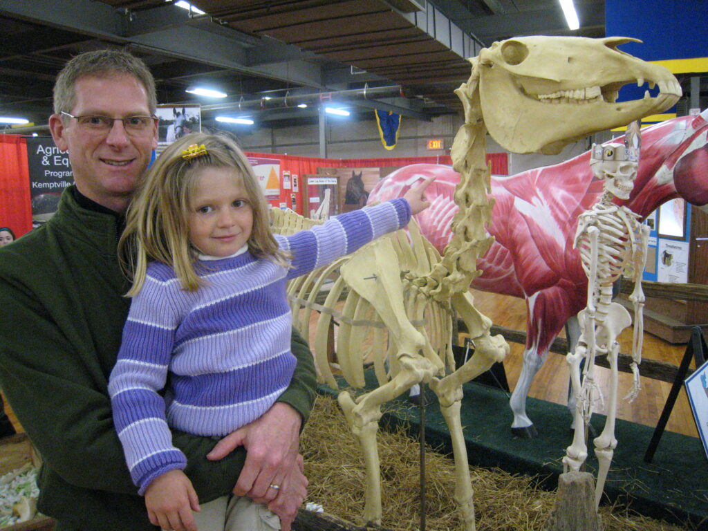 EquiMania! exhibit is fun for all in the family.  
Photo by Henrietta Coole