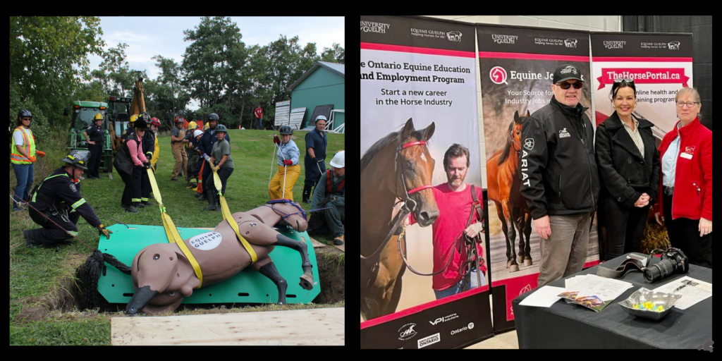 Two pictures- one of Equine Guelph's Large Animal Emergency Rescue program and the second of the Ontario Equine Education and Employment Program