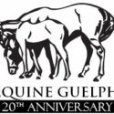 Equine Guelph 20th Anniversary logo
