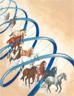 Horses DNA artwork by Ruth Benns